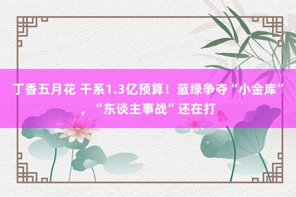 丁香五月花 干系1.3亿预算！蓝绿争夺“小金库”，“东谈主事战”还在打