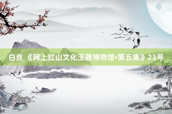 白丝 《网上红山文化玉器博物馆•第五集》23号