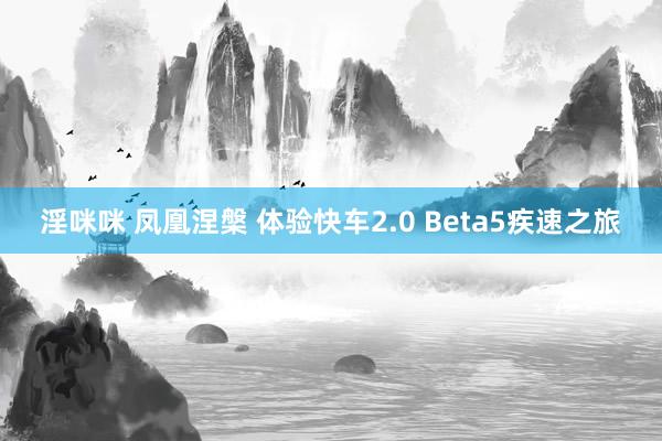 淫咪咪 凤凰涅槃 体验快车2.0 Beta5疾速之旅
