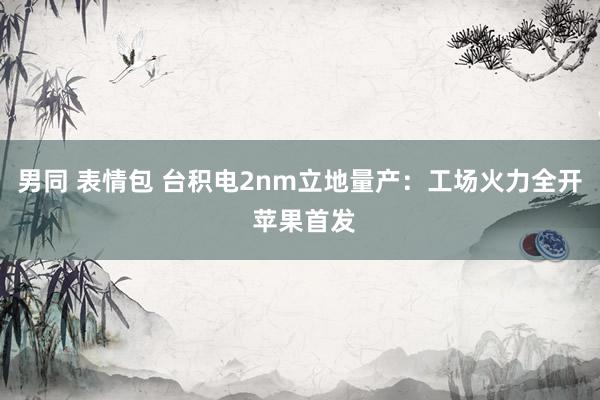 男同 表情包 台积电2nm立地量产：工场火力全开 苹果首发