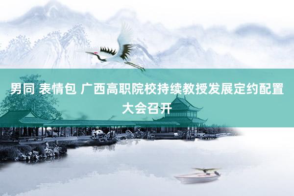 男同 表情包 广西高职院校持续教授发展定约配置大会召开