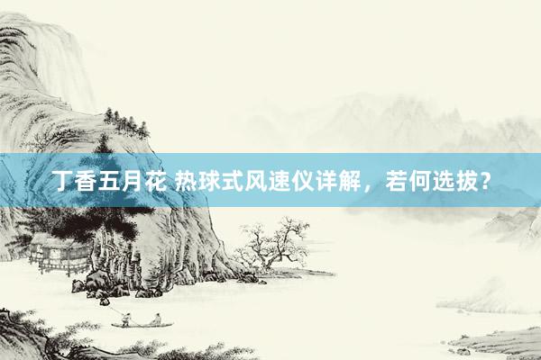 丁香五月花 热球式风速仪详解，若何选拔？