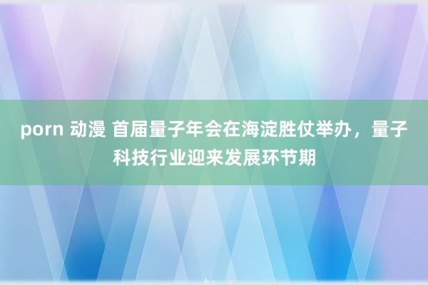 porn 动漫 首届量子年会在海淀胜仗举办，量子科技行业迎来发展环节期