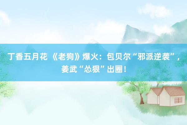 丁香五月花 《老狗》爆火：包贝尔“邪派逆袭”，姜武“怂狠”出圈！
