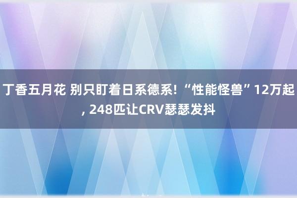丁香五月花 别只盯着日系德系! “性能怪兽”12万起， 248匹让CRV瑟瑟发抖