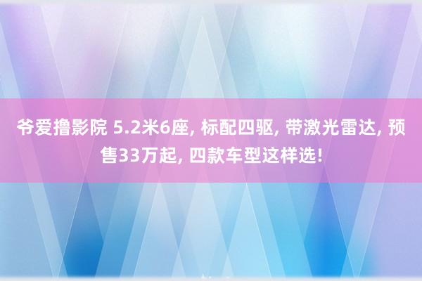 爷爱撸影院 5.2米6座， 标配四驱， 带激光雷达， 预售33万起， 四款车型这样选!