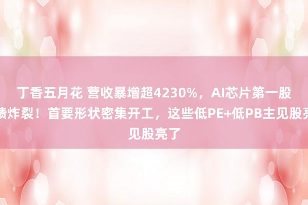 丁香五月花 营收暴增超4230%，AI芯片第一股功绩炸裂！首要形状密集开工，这些低PE+低PB主见股亮了