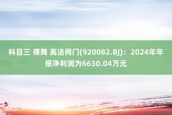 科目三 裸舞 高洁阀门(920082.BJ)：2024年年报净利润为6630.04万元