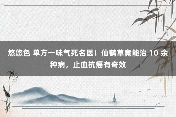 悠悠色 单方一味气死名医！仙鹤草竟能治 10 余种病，止血抗癌有奇效